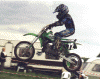 Jamie Arnold